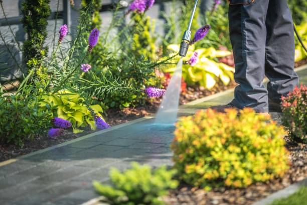 Best Dumpster Area Cleaning  in Cape Girardeau, MO