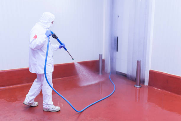 Spring Cleaning in Cape Girardeau, MO